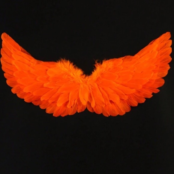 Angel & Devil Feather 
Wings & gloves - Picture 3 of 7